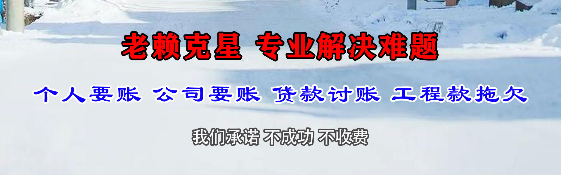 利辛清债公司